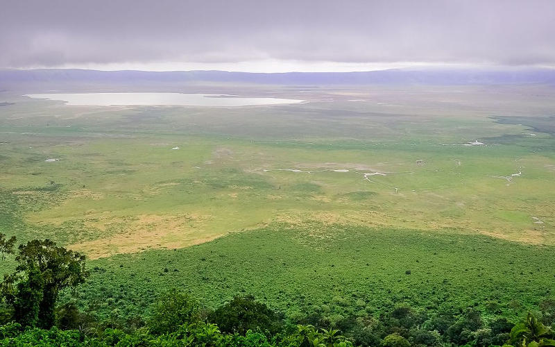 2 Days Safari to Lake Manyara or Ngorongoro Crater